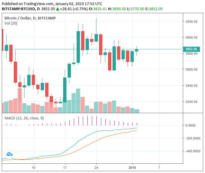 Bitcoin up 7% and ethereum surges 19%, good 2019 start for crypto Bitcoin up 7% and ethereum surges 19%, good 2019 start for crypto