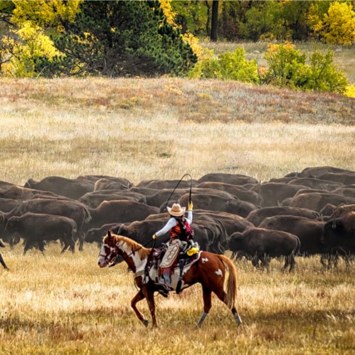 Wyoming-768x768. Jpg The daily: nyc to launch blockchain center, wyoming advances industry-friendly bills