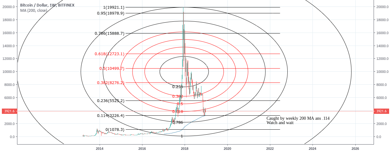 Btc bitcoin possible bottom or more blood? Btc bitcoin possible bottom or more blood?