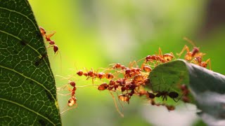 The nature of tech: blockchain for retail The nature of tech: blockchain for retail