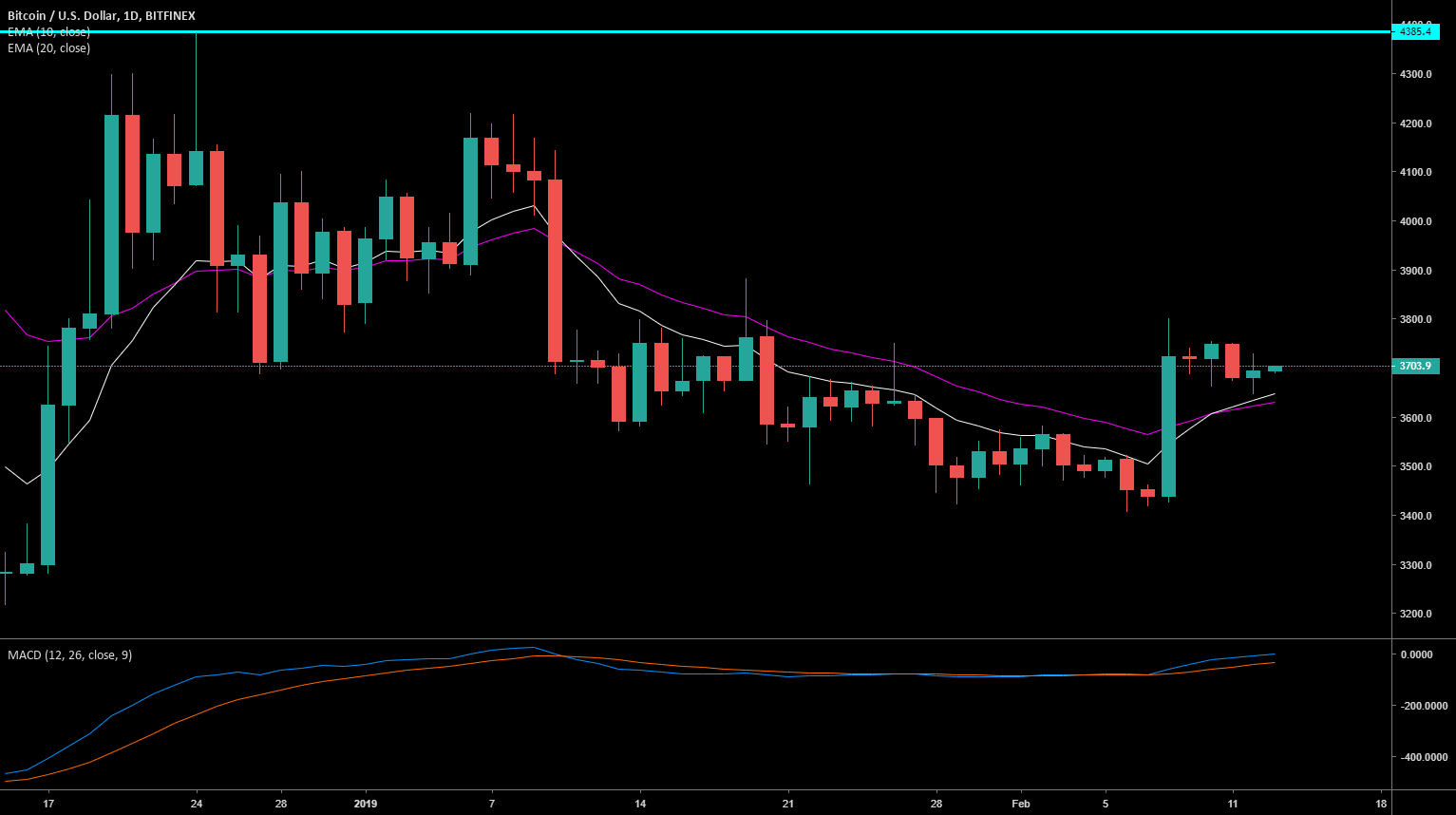 Bitcoin & my thought's for today Bitcoin & my thought's for today