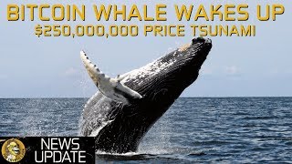 Bitcoin whale $250,000,000 moved - price tsunami coming? Bitcoin whale $250,000,000 moved - price tsunami coming?