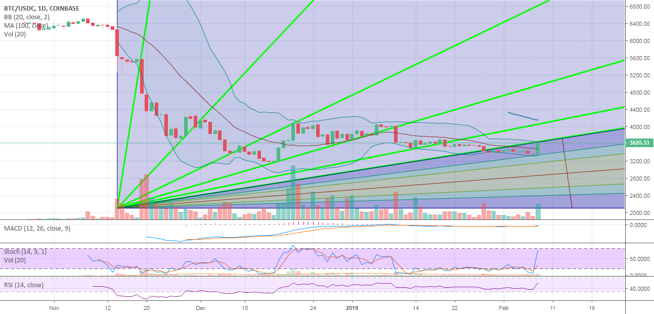 $2100 ₿itcoin lines.. Signal to the ultimate ₿itcoin bottom?? $2100 ₿itcoin lines.. Signal to the ultimate ₿itcoin bottom??