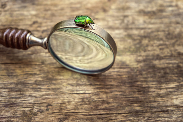 Coinbase: bitcoin-börse belohnt entdeckung von bug mit 30. 000 us-dollar Coinbase: bitcoin-börse belohnt entdeckung von bug mit 30. 000 us-dollar