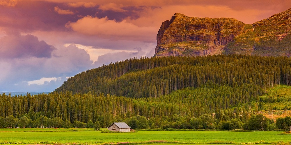 In the daily: liberstad coin, mining contracts, luxembourg law In the daily: liberstad coin, mining contracts, luxembourg law