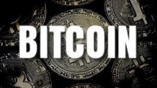 Il futuro di bitcoin e delle crypto Il futuro di bitcoin e delle crypto
