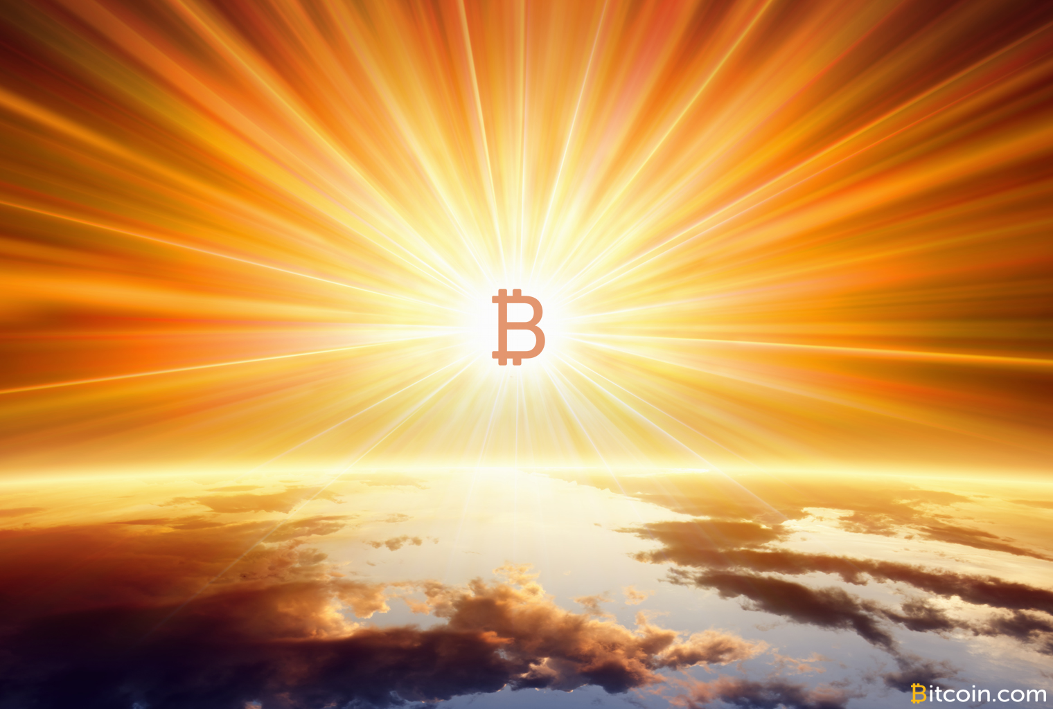 Bitcoin cash merchant acceptance is thriving in these 3 regions Bitcoin cash merchant acceptance is thriving in these 3 regions