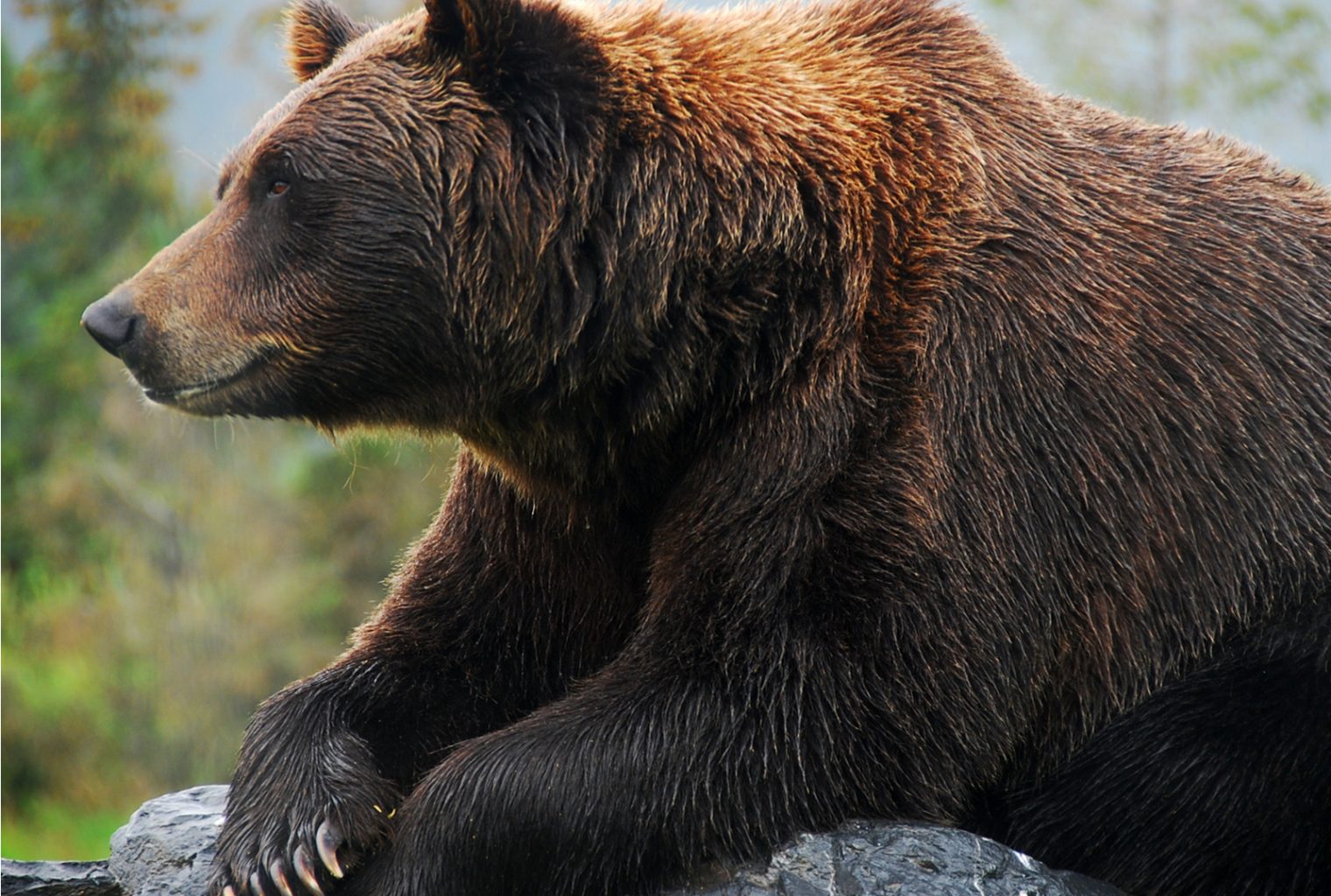 Gainers and losers: btt falls from daily gainers, grin sits among weekly losers Gainers and losers: btt falls from daily gainers, grin sits among weekly losers