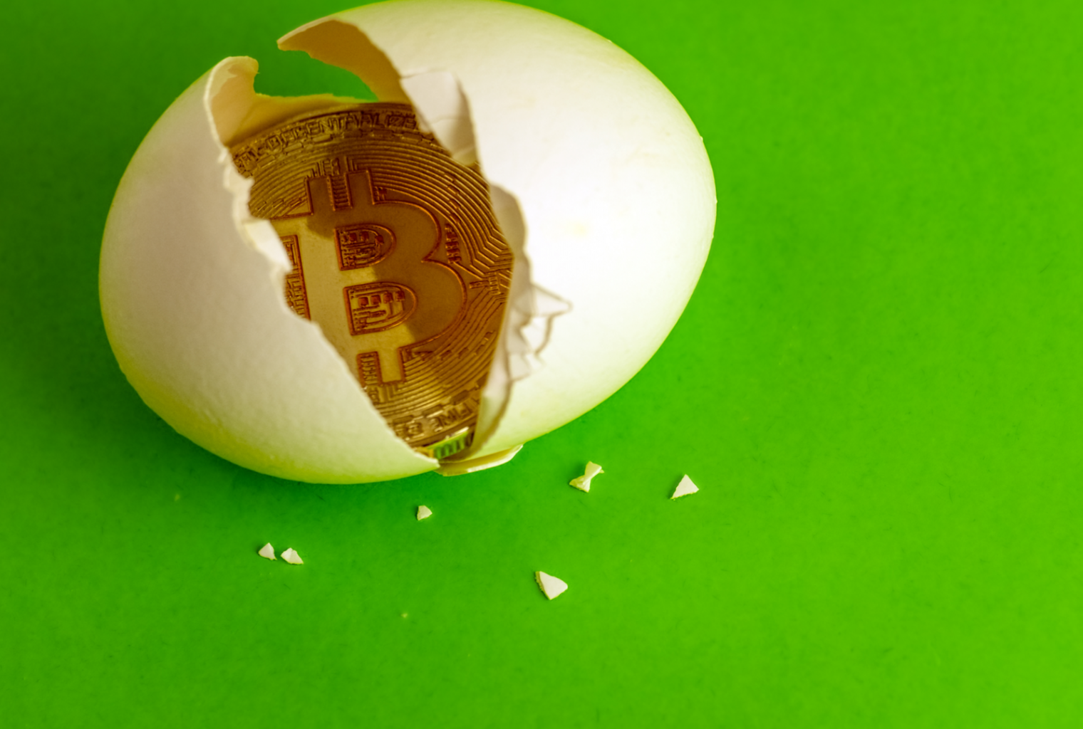 These bitcoin easter eggs are hidden in plain sight These bitcoin easter eggs are hidden in plain sight