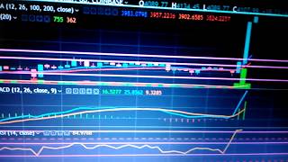 Cutie's bitcoin price update today Cutie's bitcoin price update today