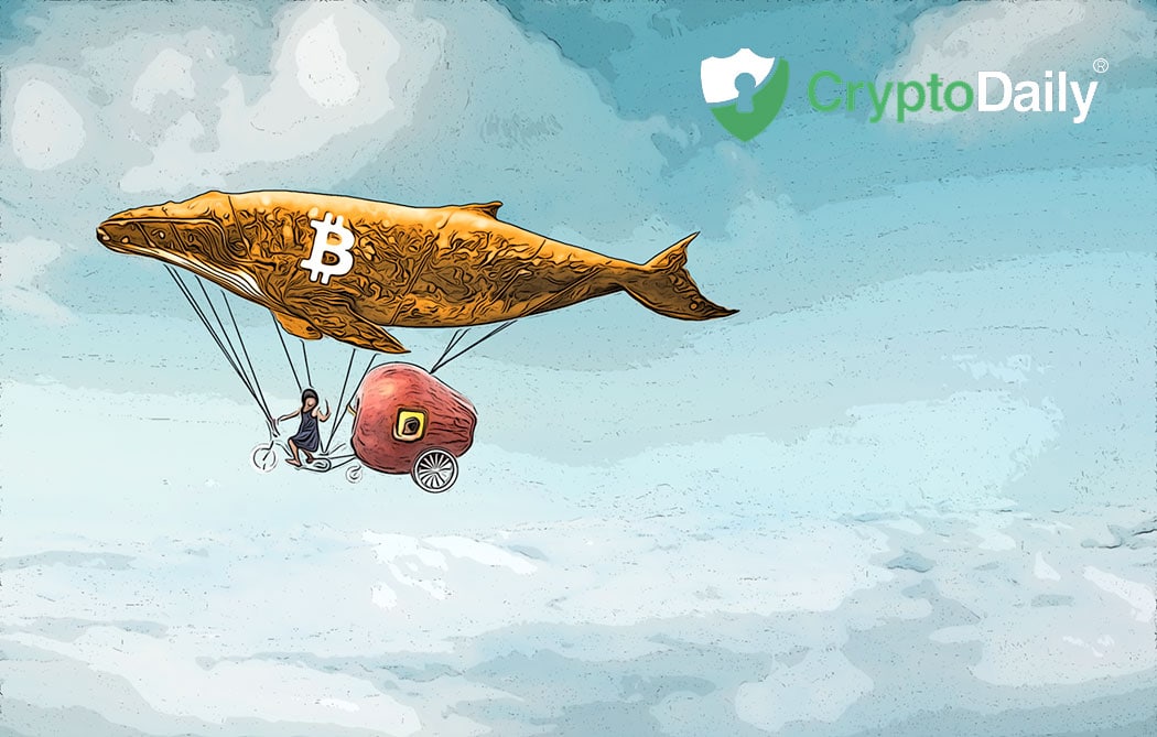 How btc price is affected by whales How btc price is affected by whales