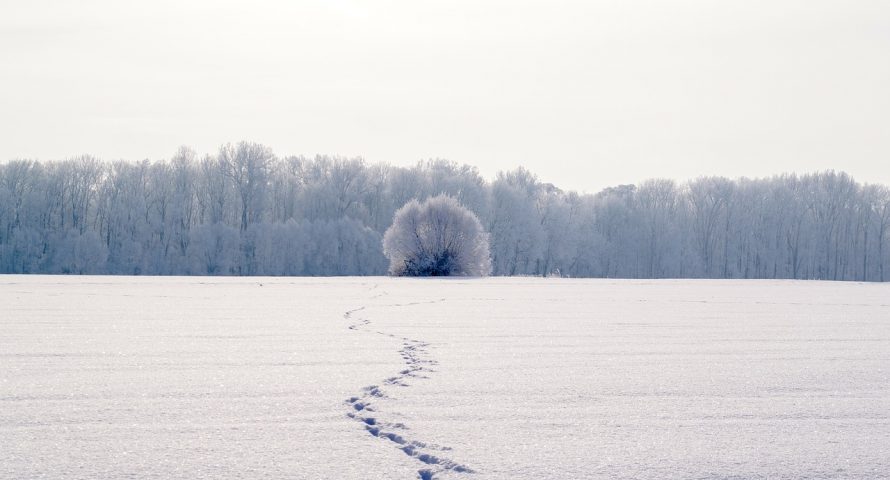 Tron foundation expands footprint, invests in decentralized gaming startup playgame Tron foundation expands footprint, invests in decentralized gaming startup playgame