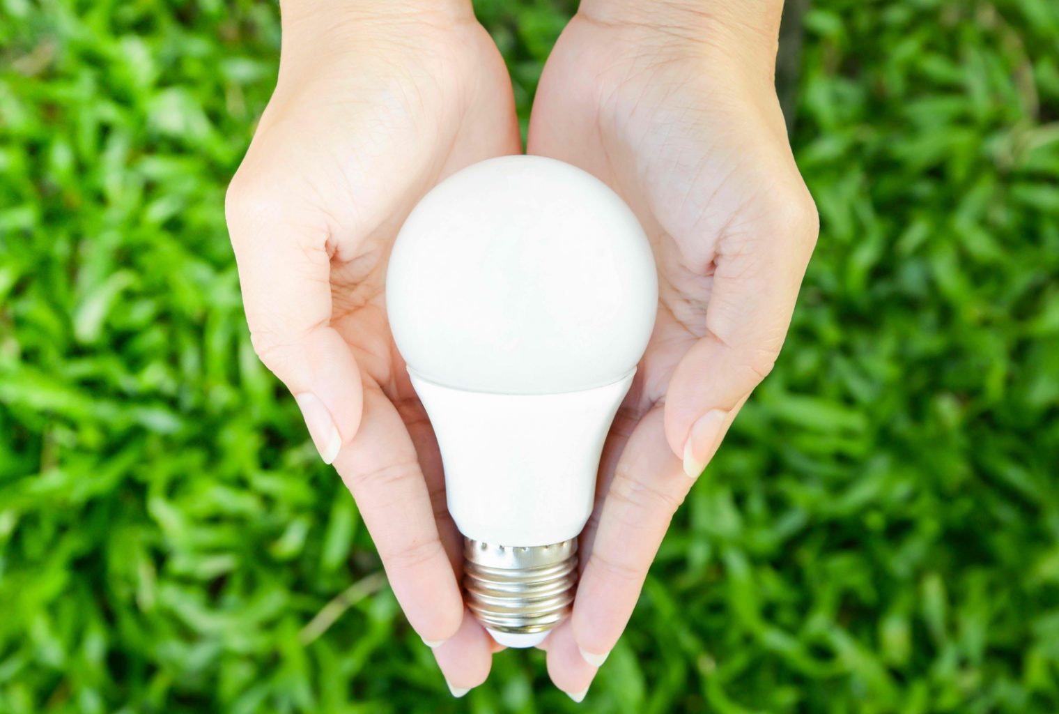 In the daily: bch charity anniversary, lighting wholesaler takes crypto, atomicpay vanity urls In the daily: bch charity anniversary, lighting wholesaler takes crypto, atomicpay vanity urls