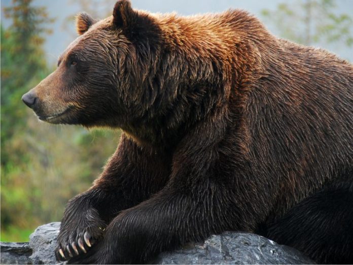 Shutterstock_1091241533-768x576. Jpg Gainers and losers: btt falls from daily gainers, grin sits among weekly losers