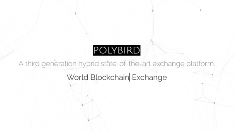 Polybird’s patrick springer on the future of asset tokenization Polybird exchange