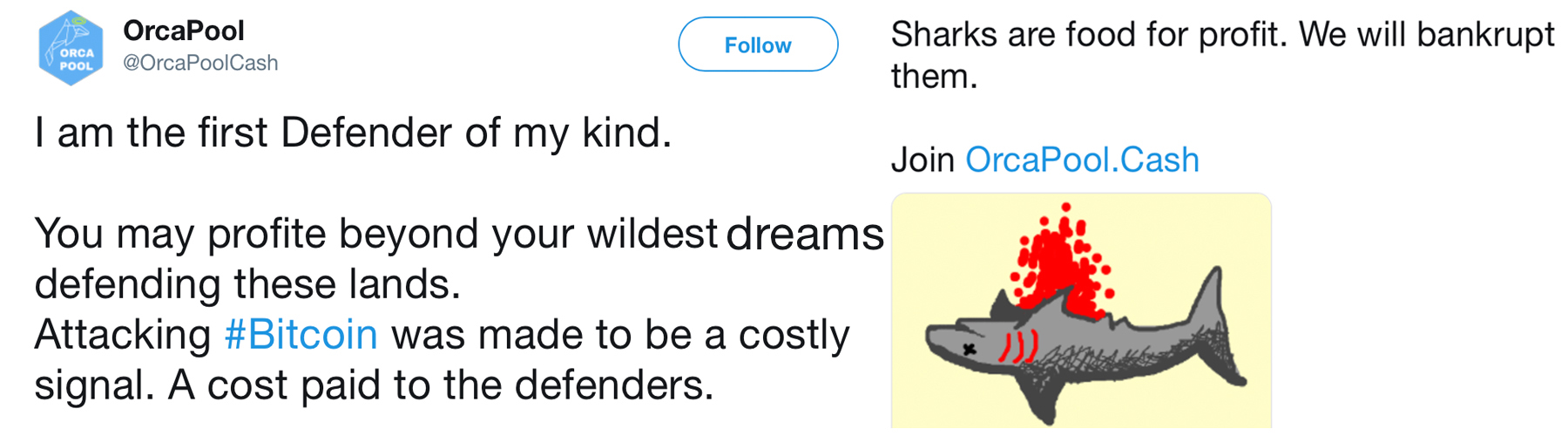 Orca pool mining operation aims to defend altcoins and forks from attacks Orca pool mining operation aims to defend altcoins and forks from attacks