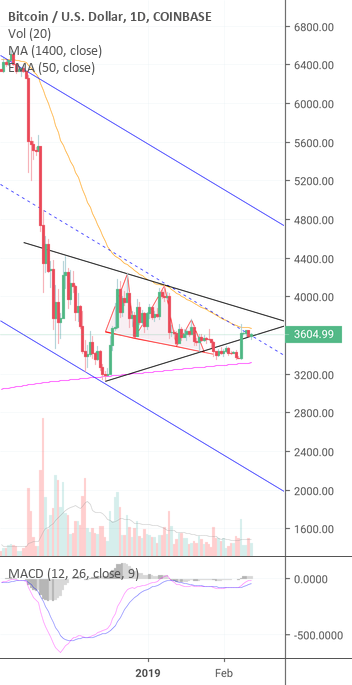 The bitcoin bottoming fractal holds strong! (btc) The bitcoin bottoming fractal holds strong! (btc)