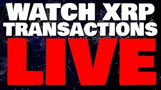 Ripple xrp | watch global xrp transactions live | smartphones integrating cryptocurrency Ripple xrp | watch global xrp transactions live | smartphones integrating cryptocurrency