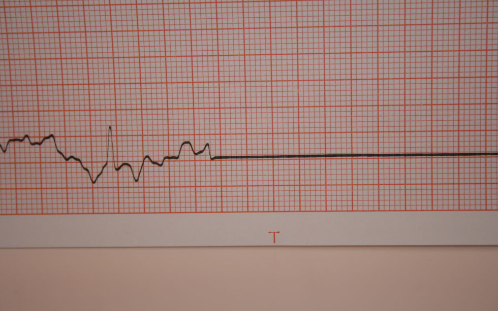 Bitcoin declining volatility could stage new bull-run, analyst says Bitcoin declining volatility could stage new bull-run, analyst says