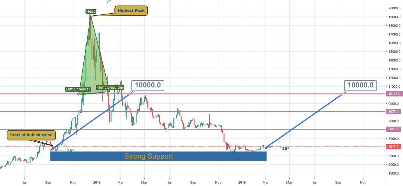 Bitcoin is coming back: $10,000 till october 2019 Bitcoin is coming back: $10,000 till october 2019
