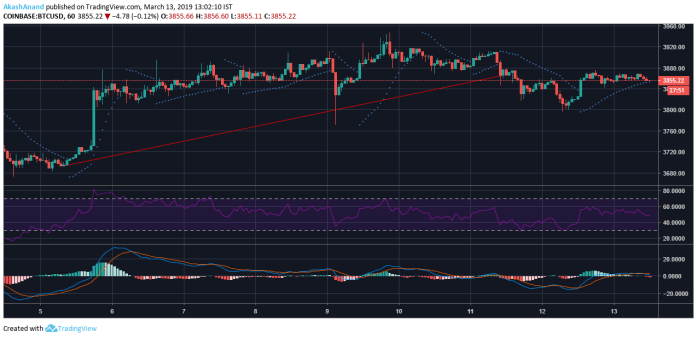 Cryptocurrency fails to break bear’s long-term curse | Cryptocurrency fails to break bear’s long-term curse |