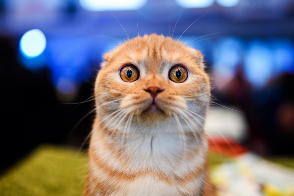 Two years too late: bbc claims flurry of bitcoin investors ‘think they can get rich quick’ Shocking