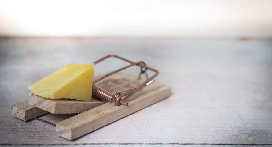 Don’t let the bitcoin price rise fool you, we’re still going to $2,500 Don’t let the bitcoin price rise fool you, we’re still going to $2,500