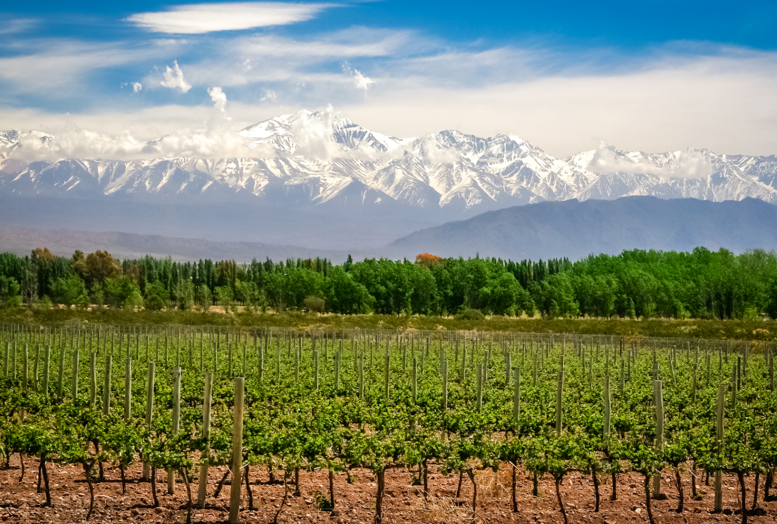 In the daily: tokenized etfs, chainalysis, binance labs in argentina In the daily: tokenized etfs, chainalysis, binance labs in argentina