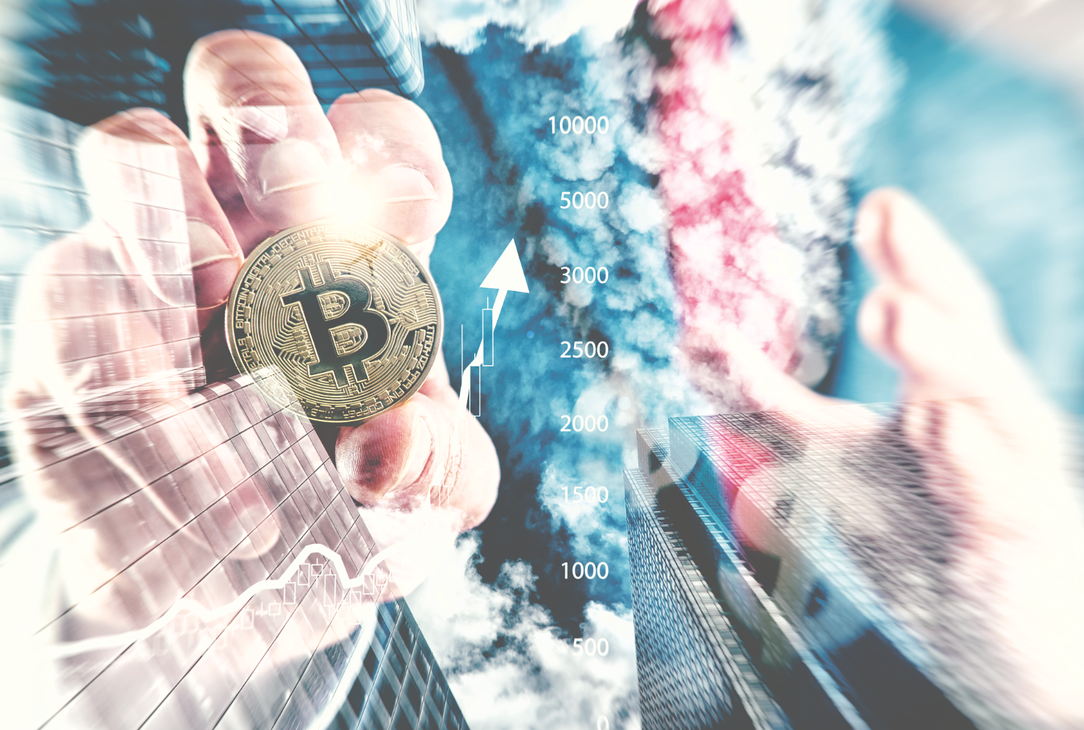 Weiss ratings now favors btc out of 122 cryptocurrencies Weiss ratings now favors btc out of 122 cryptocurrencies