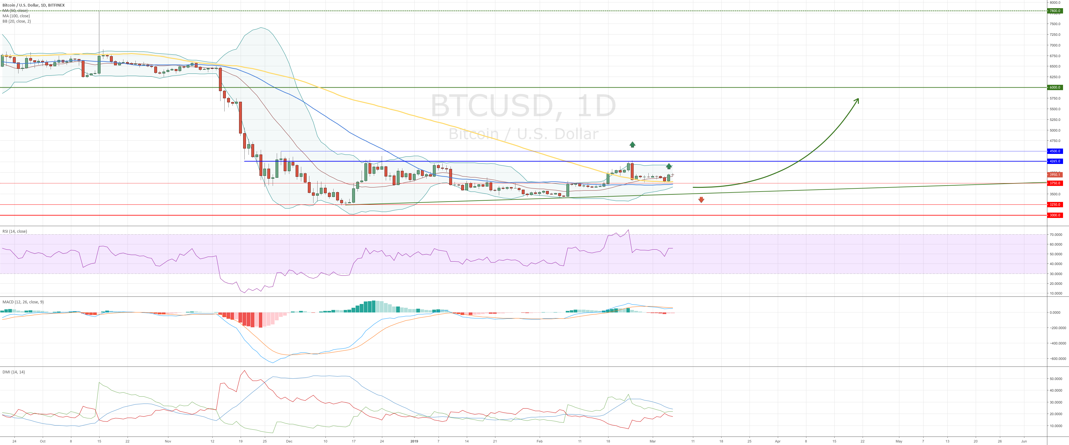 Bitcoin - how to trade using bitfinex's prices and levels Bitcoin - how to trade using bitfinex's prices and levels