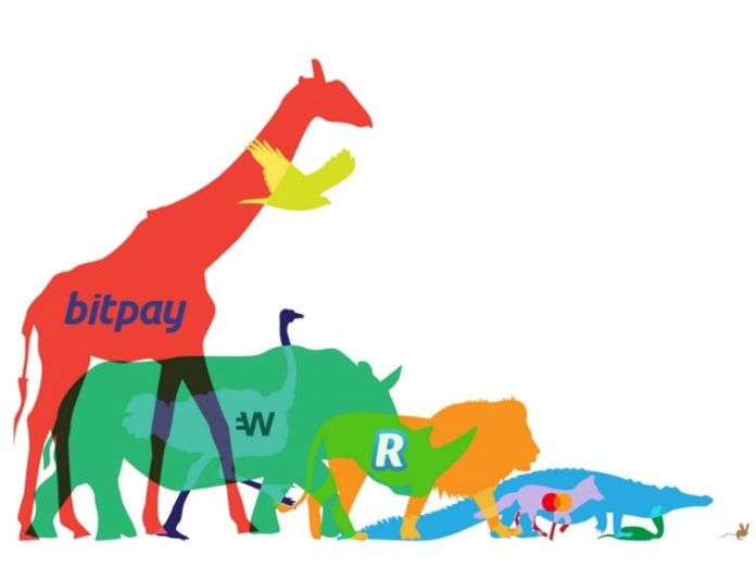 Crypto-card-768x576. Jpg Crypto debit card providers are an endangered species