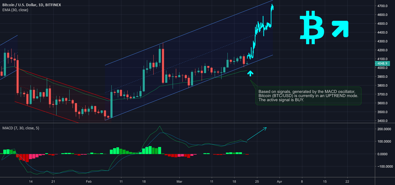Bitcoin is moving up! Macd oscillator explains why. Watch this! Bitcoin is moving up! Macd oscillator explains why. Watch this!