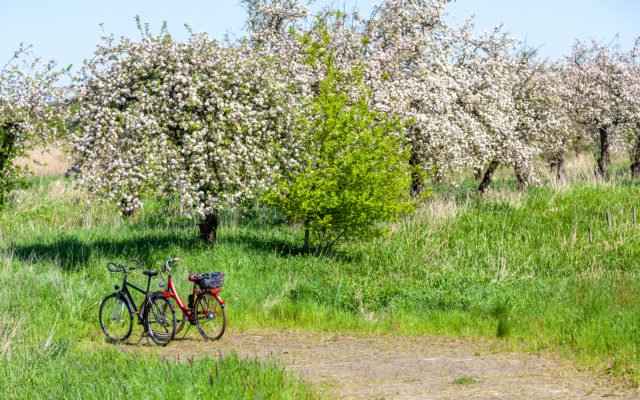 Shutterstock_1087911830-640x400. Jpg It’s officially alt season!