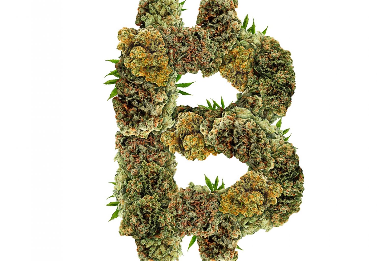 Cannabis, cryptocurrency and compliance: one man’s quest to support unbanked businesses Cannabis, cryptocurrency and compliance: one man’s quest to support unbanked businesses