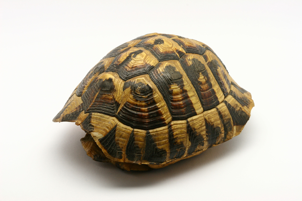 Localbitcoins rüstet sich für neue regulatorische auflage Localbitcoins rüstet sich für neue regulatorische auflage