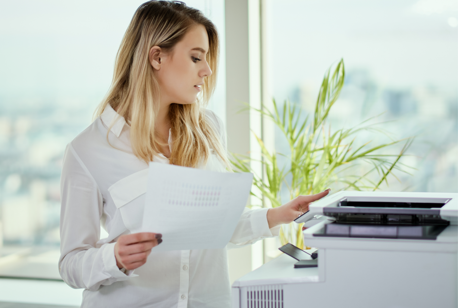 How to print your own bitcoin cash paper wallet How to print your own bitcoin cash paper wallet