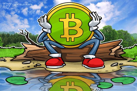 Sbi delists bch amid major crypto exchanges delisting bsv Sbi delists bch amid major crypto exchanges delisting bsv