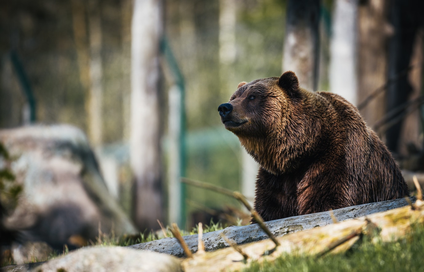 Bitcoin rally to $5,000 is “nail in the coffin” for bears says prominent investor Bitcoin rally to $5,000 is “nail in the coffin” for bears says prominent investor
