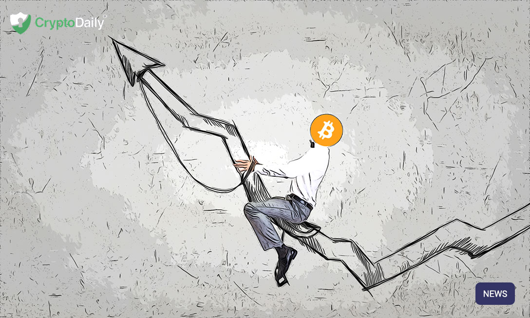 Bitcoins most prolific inspirations – crypto daily™ Bitcoins most prolific inspirations – crypto daily™