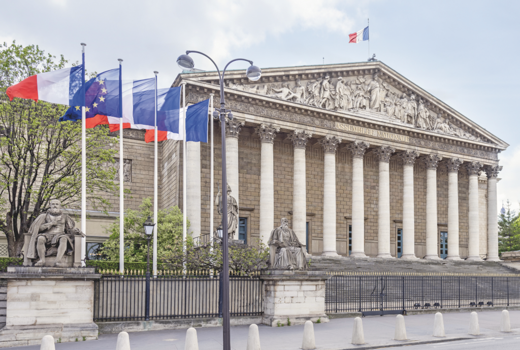 France adopts new cryptocurrency regulation France adopts new cryptocurrency regulation