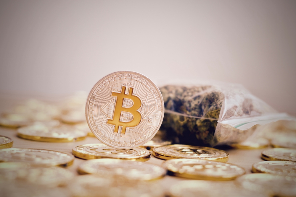 Keine coins für cannabis: hsbc verweigert kauf von bitcoin und friert konto ein Keine coins für cannabis: hsbc verweigert kauf von bitcoin und friert konto ein