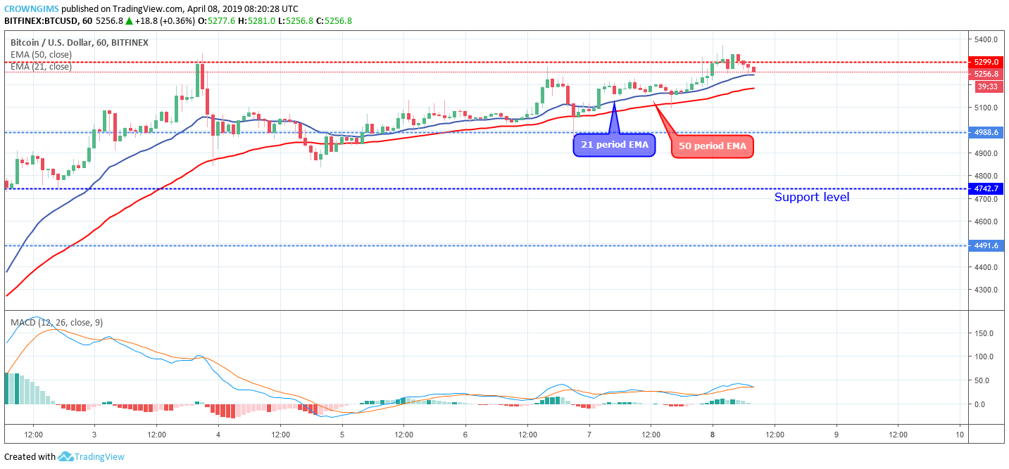 Bitcoin price analysis: btc/usd expected to break up $5,299 rising towards $5,574 Bitcoin price analysis: btc/usd expected to break up $5,299 rising towards $5,574