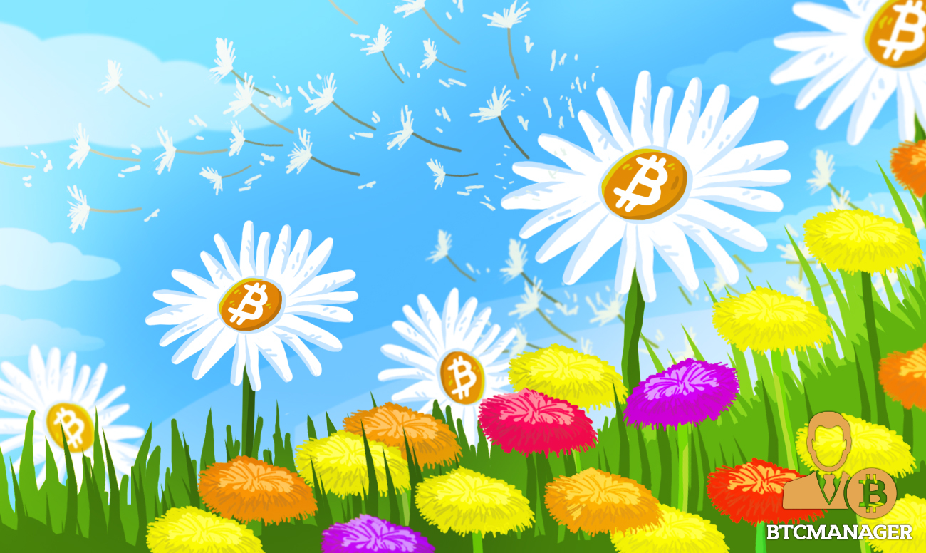 “crypto spring” may be back, but investors should remain cautious “crypto spring” may be back, but investors should remain cautious