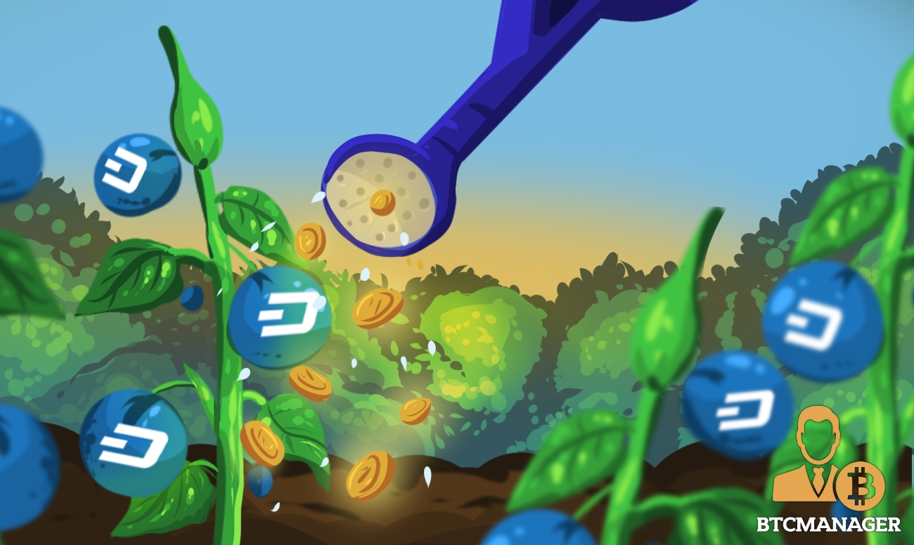 Dash (dash) investment foundation set to go live Dash (dash) investment foundation set to go live