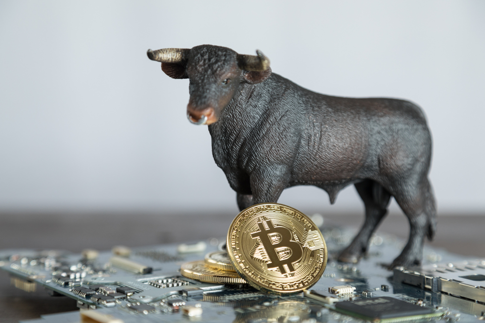 Bitcoin currently consolidating after dropping towards $7,700, but a strong bounce may be imminent Bitcoin currently consolidating after dropping towards $7,700, but a strong bounce may be imminent