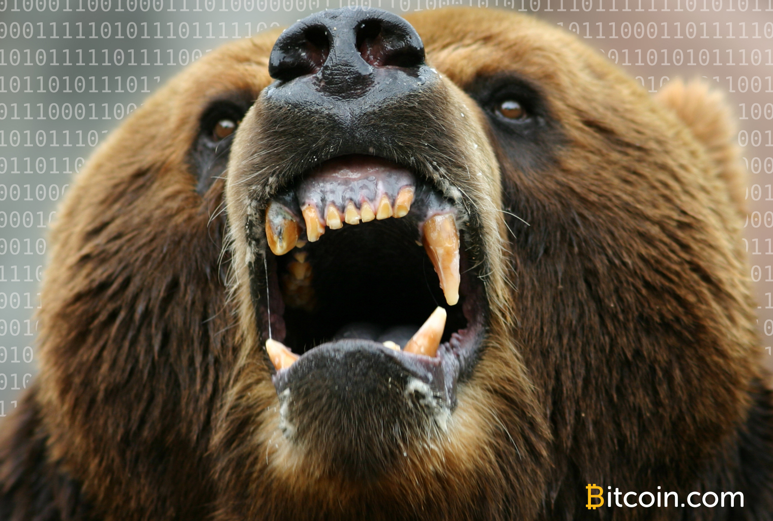 Markets update: bears claw crypto prices back while uncertainty fills the air Markets update: bears claw crypto prices back while uncertainty fills the air