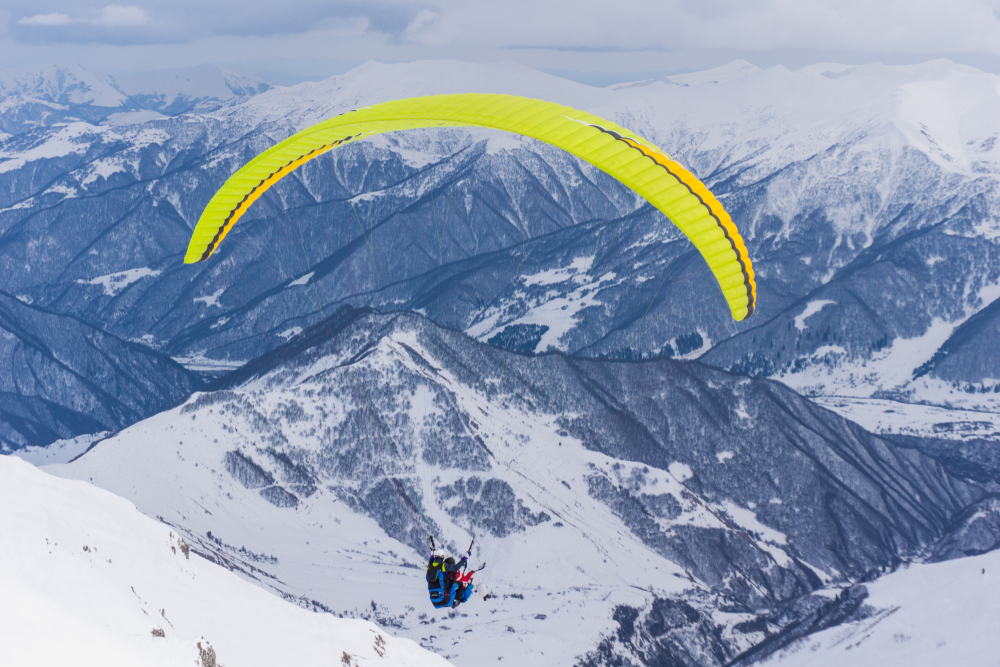 Square cash’s bitcoin (btc) sales go parabolic, signals renewed crypto hype Square cash’s bitcoin (btc) sales go parabolic, signals renewed crypto hype