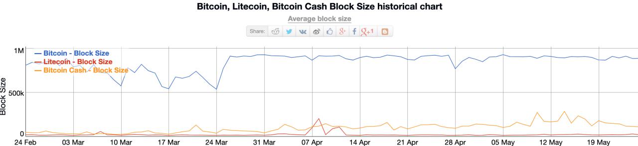 Bitcoin speed vs. Altcoins a ‘red herring,’ says charlie shrem Bitcoin speed vs. Altcoins a ‘red herring,’ says charlie shrem