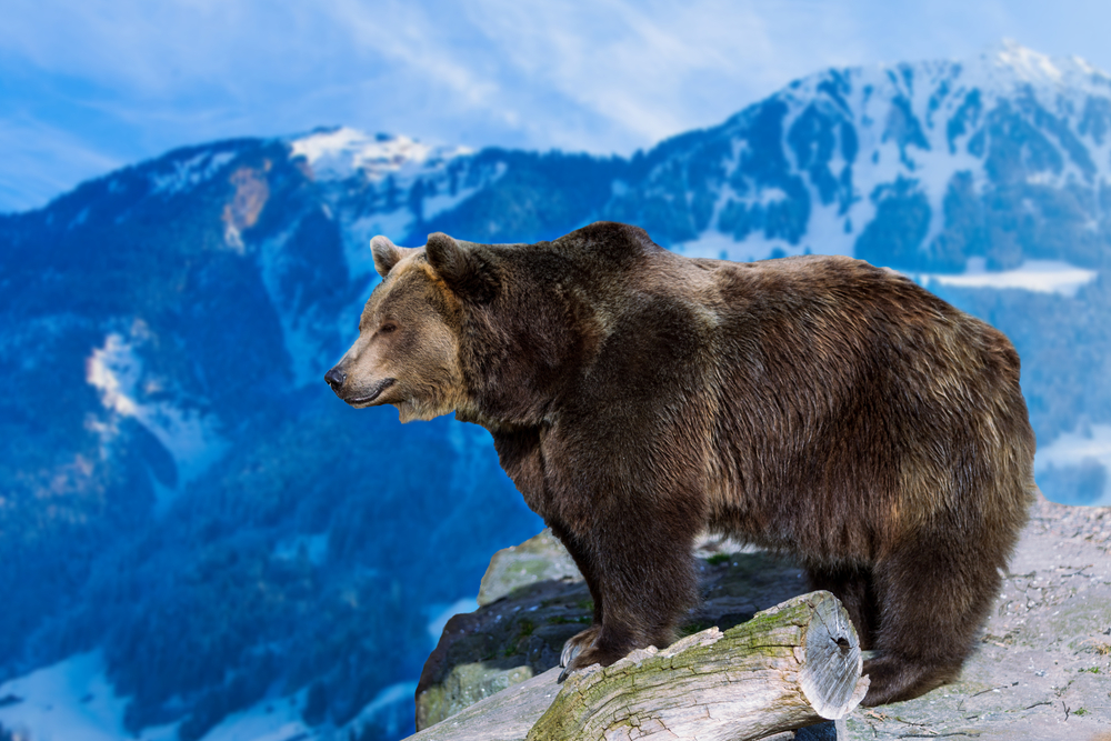 Bitcoin surpasses $100 billion, yet former wall streeter still isn’t bullish Bitcoin surpasses $100 billion, yet former wall streeter still isn’t bullish