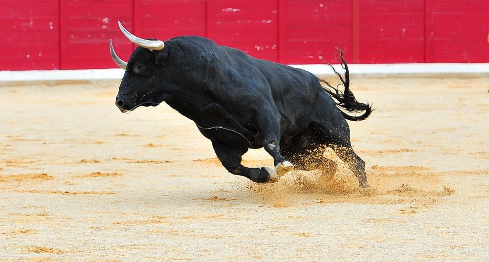 Bitcoin bulls unleashed as crypto begins trading on good news Bitcoin bulls unleashed as crypto begins trading on good news